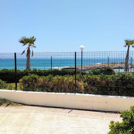 Shoal Apartamentos Οριουέλα Εξωτερικό φωτογραφία