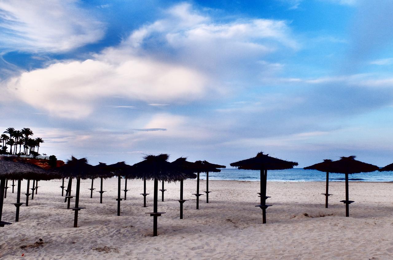 Shoal Apartamentos Οριουέλα Εξωτερικό φωτογραφία